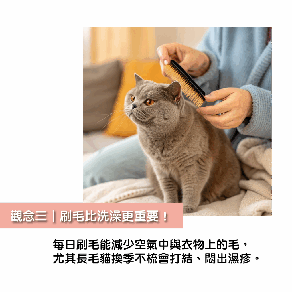 掉毛掉到快鋪一張地毯?貓咪換季掉毛原因+4招正確處理法! 4 掉毛掉到快鋪一張地毯?貓咪換季掉毛原因+4招正確處理法!
