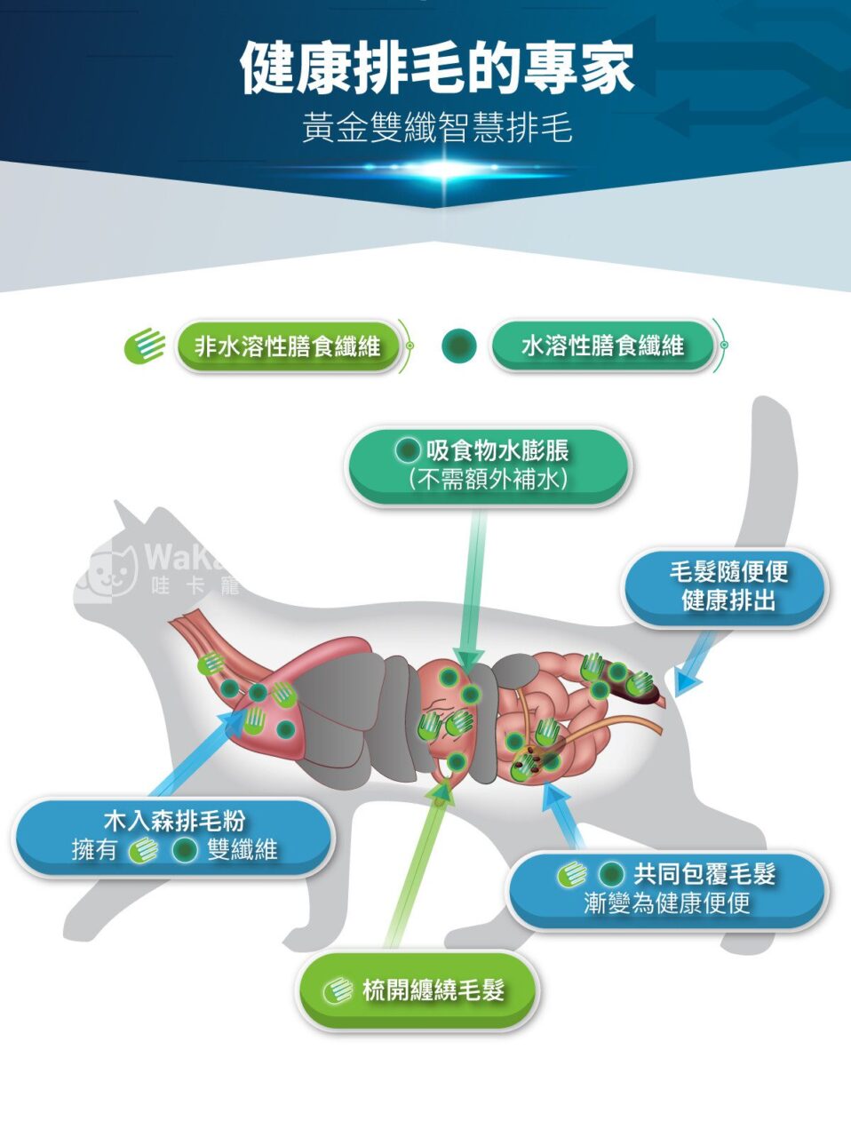 木入森 起司風味-排毛粉 30包 | 貓換毛季必備