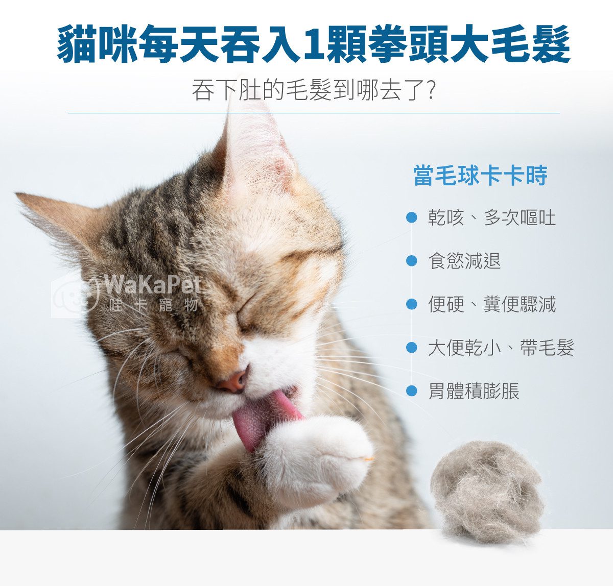 木入森 起司風味-排毛粉 30包 | 貓換毛季必備