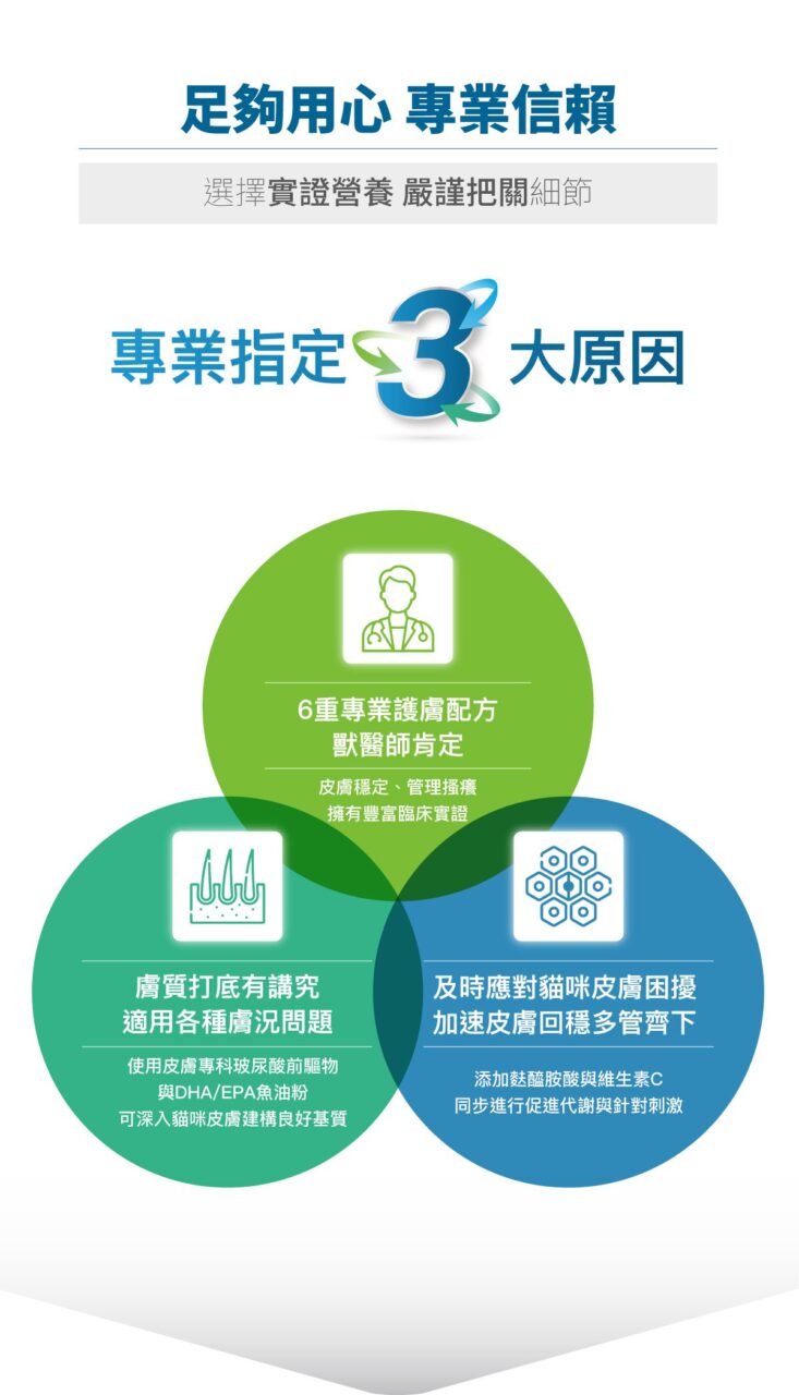 木入森 貓咪膚立好 50包 ｜貓咪皮膚保健