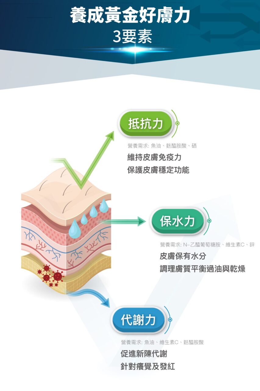 木入森 貓咪膚立好 50包 ｜貓咪皮膚保健