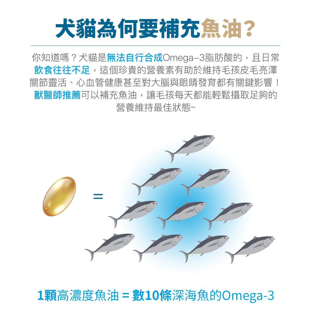木入森 高EPA寵物魚油 60顆 | 貓狗魚油推薦