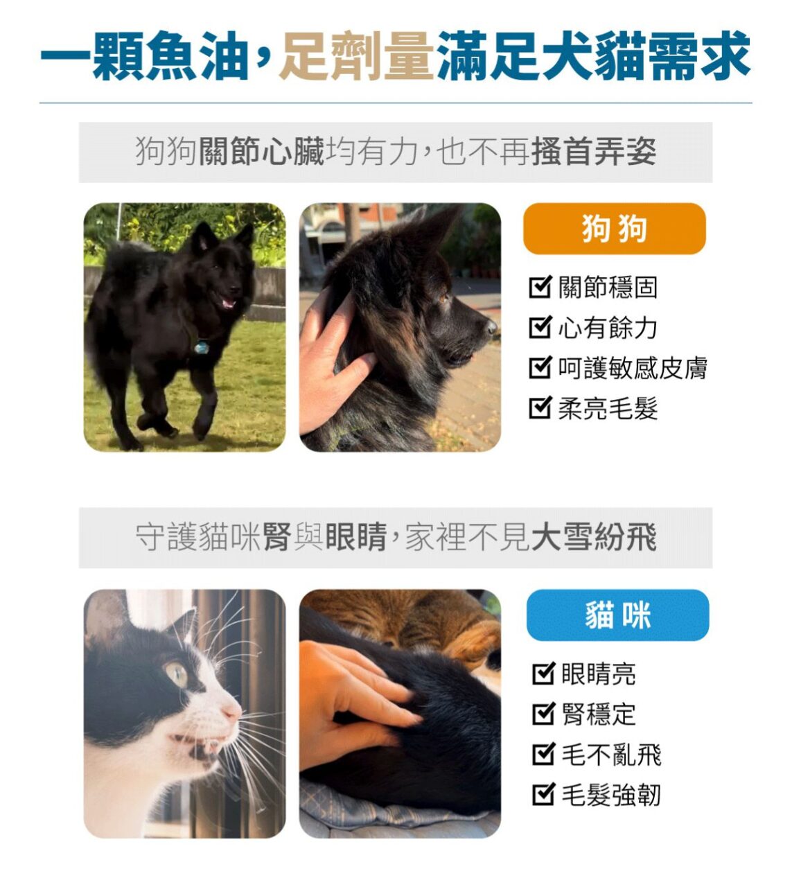 木入森 高EPA寵物魚油 60顆 | 貓狗魚油推薦