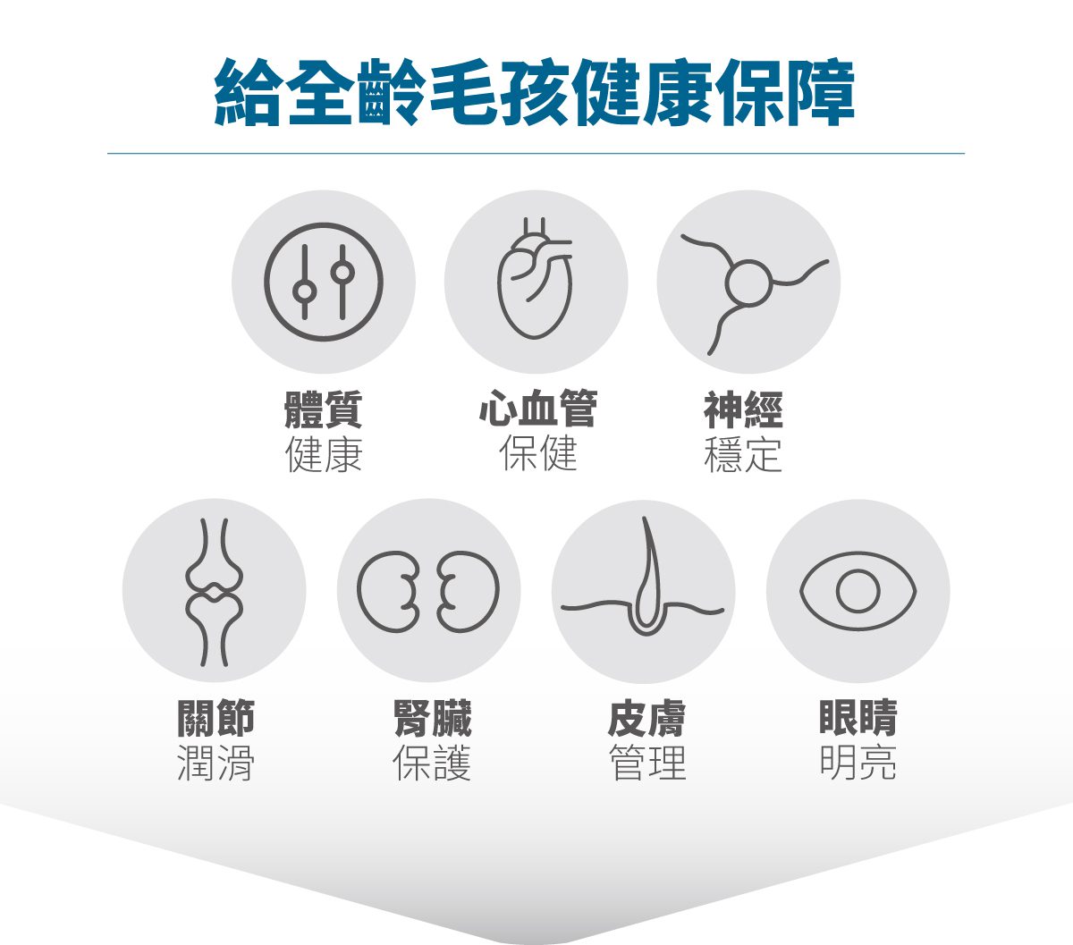 木入森 高EPA寵物魚油 60顆 | 貓狗魚油推薦