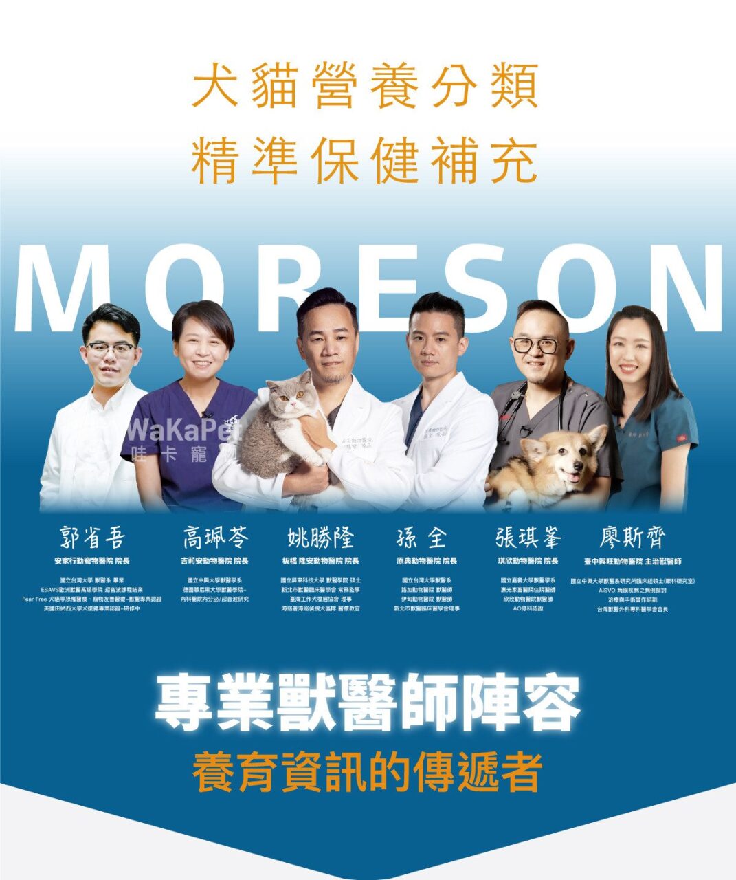 木入森寵物魚油粉 30包丨犬貓魚油