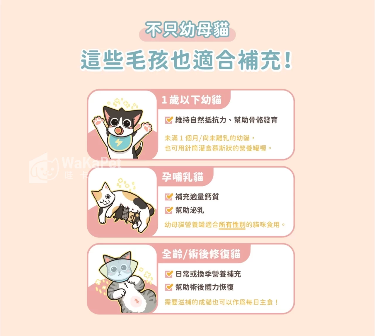 營養罐｜幼母貓無膠營養主食罐(小罐24入)