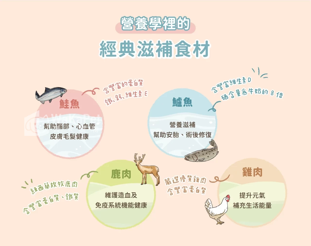 營養罐｜幼母貓無膠營養主食罐(小罐24入)