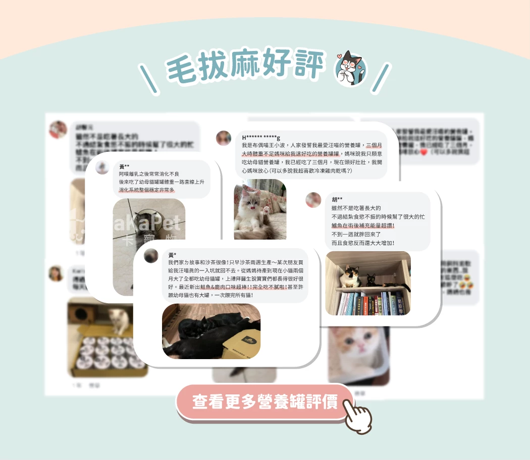 營養罐｜幼母貓無膠營養主食罐(小罐24入)
