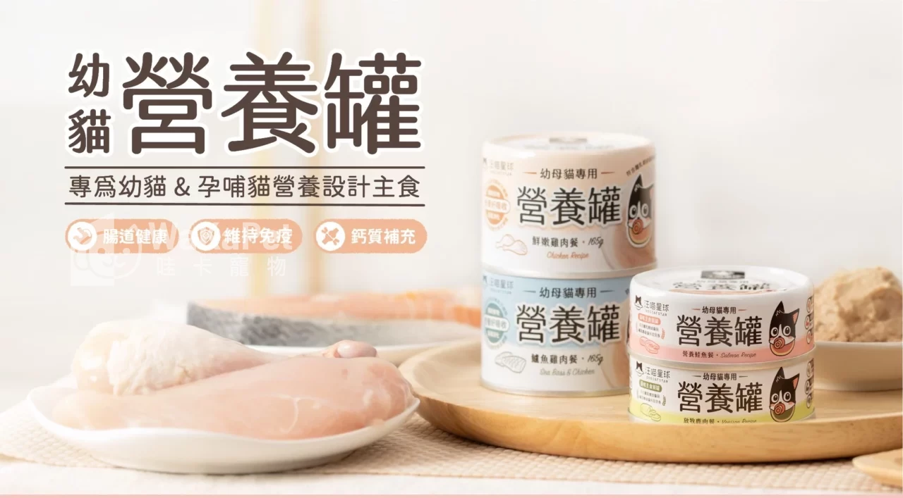 營養罐|幼母貓無膠營養主食罐(小罐24入) 1 營養罐|幼母貓無膠營養主食罐(小罐24入)