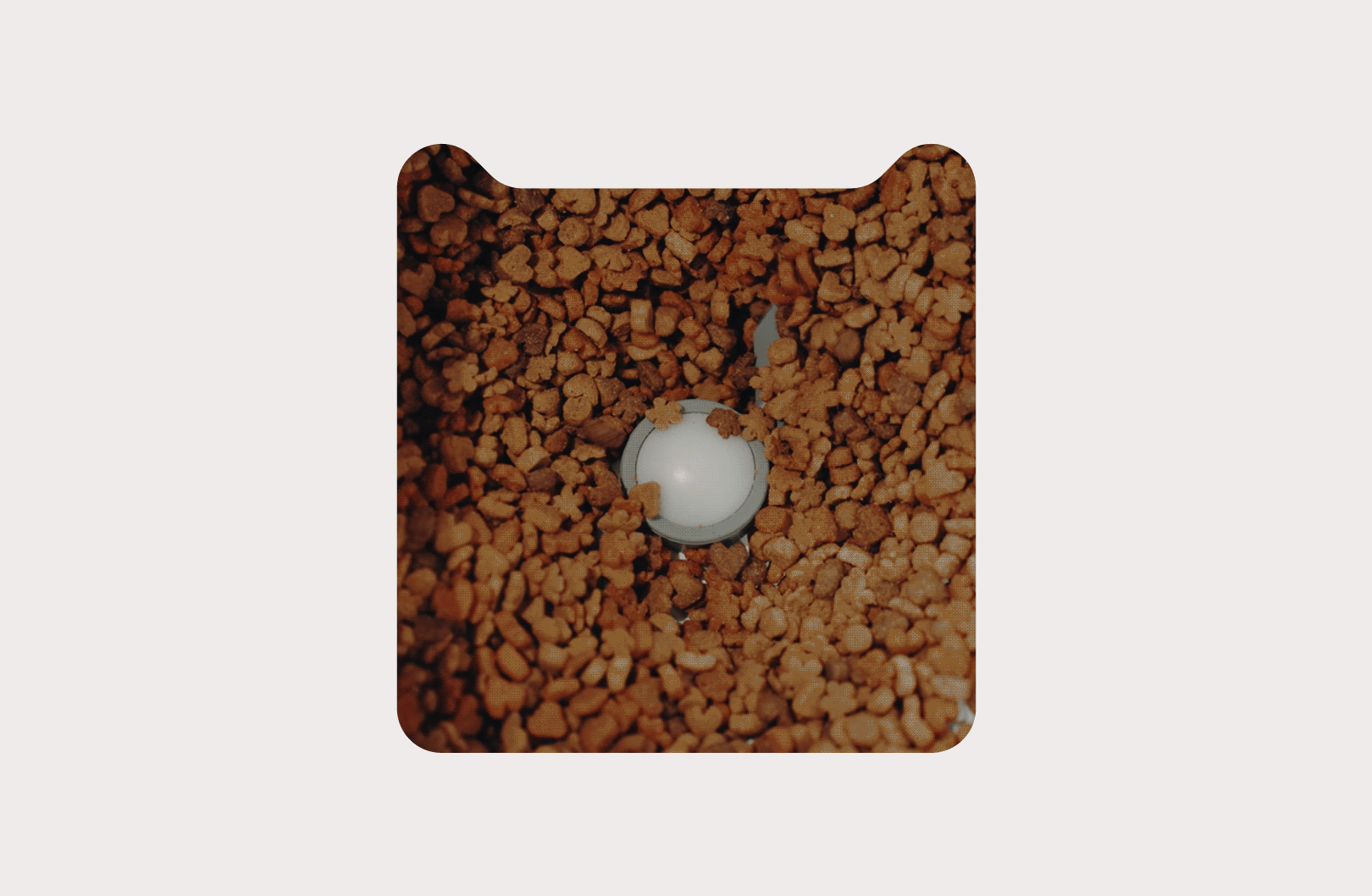 餵不停 LuxNourish 貓狗自動餵食器(一般版)